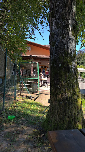 Opinii despre Bar Gušt, Katja Stuhne s.p în Črnomelj - Gastronomija in gostinstvo