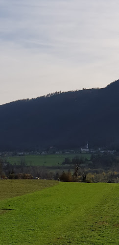 Opinii despre Kavarna in Gostilna Pri Noni în Tolmin - Gastronomija in gostinstvo