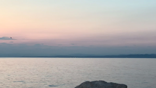 Opinii despre Specializirana okrepčevalnica pizzeria ˝Flora˝, Ljubica Imeri s.p. în Piran - Gastronomija in gostinstvo