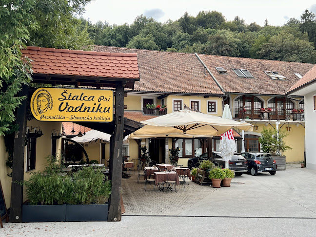 stalca pri vodniku - Ljubljana