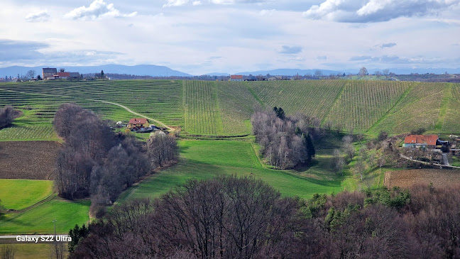 Gostišče Taverna - Gastronomija in gostinstvo
