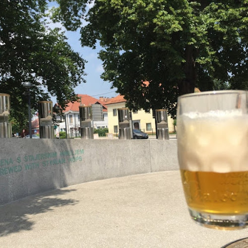 Fontana piva Žalec - Žalec