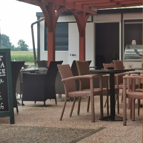 Comentarii opinii despre CONA B