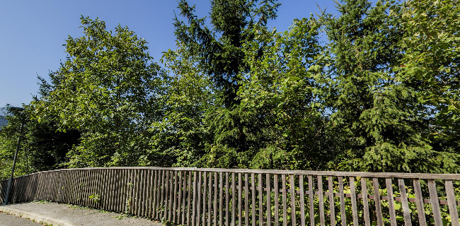 Šport center Prodnik - Ljubno ob Savinji