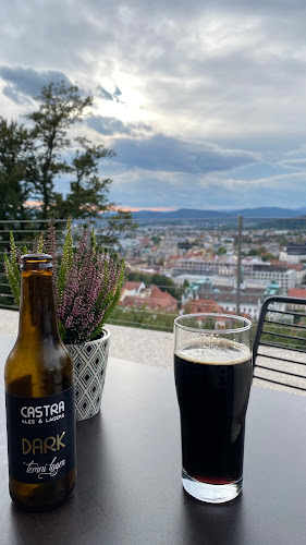 Grajska vinoteka - Gastronomija in gostinstvo