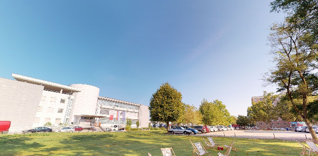 Comentarii opinii despre Kavarna Kapital