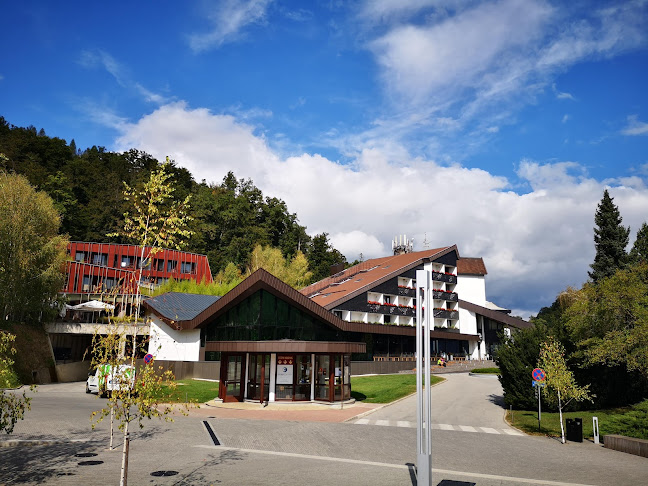 Comentarii opinii despre Lipa kavarna, pivnica in restavracija