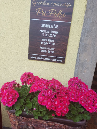 Gostilna s Pizzerijo Pri Peku - Mozirje