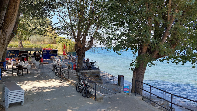 Belvedere Beach Bar - Gastronomija in gostinstvo