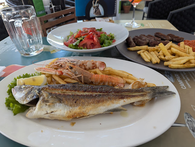 Labi's bar Piran - Gastronomija in gostinstvo