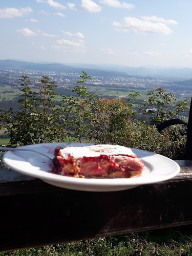 Gostilna Ledinek - Gastronomija in gostinstvo