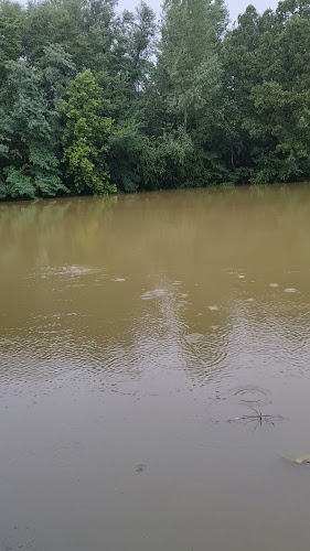 Mota 76, 9240 Ljutomer