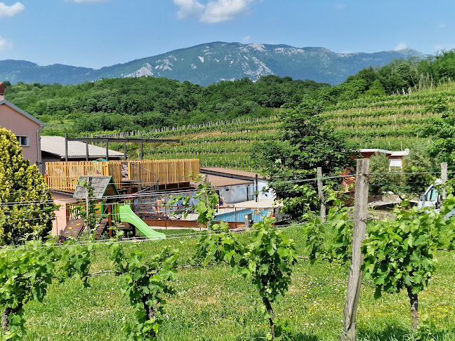 Comentarii opinii despre Saksida, wine & camping resort