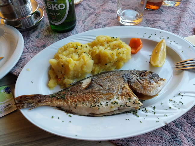 Na Otok 20, 2351 Kamnica