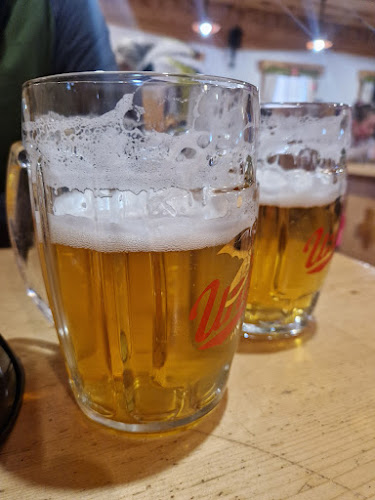 Comentarii opinii despre Pohorska picerija in pivnica Planja