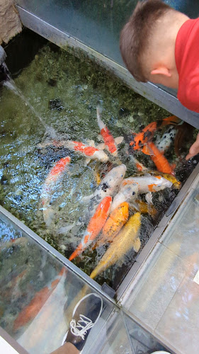 Chang, Koper - Gastronomija in gostinstvo