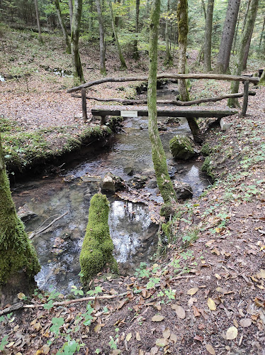 Comentarii opinii despre Gostilna Štefan Srebrnjak Štefan s.p.