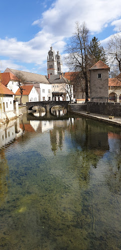 Opinii despre Grajska kavarna in slaščičarna, Villa de casa în Ribnica - Gastronomija in gostinstvo