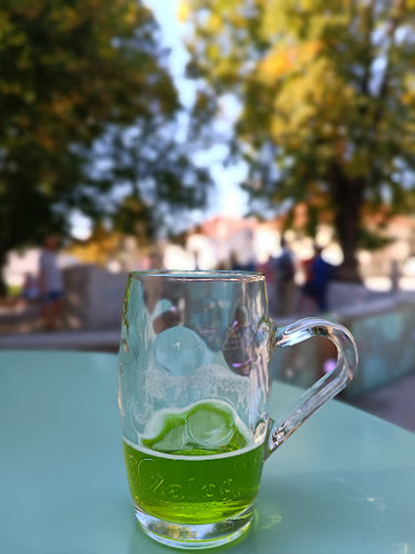 Opinii despre Fontana piva Zeleno zlato în Žalec - Gastronomija in gostinstvo