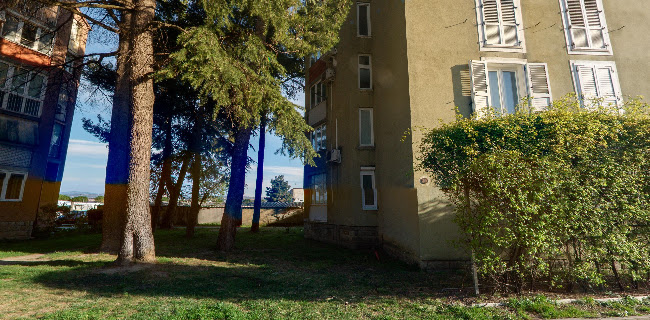 Angel food - Ljubljana