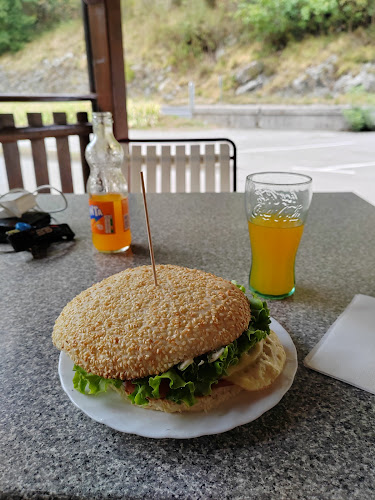 Zagomila 1, 5210 Deskle