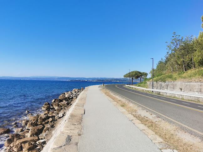 Olicom trgovina, proizvodnja in storitve d.o.o. Koper, podružnica Neptun Izola, Polje 21