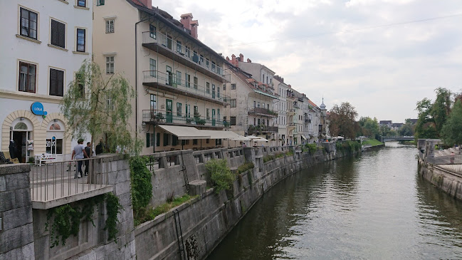 Comentarii opinii despre Mlinar