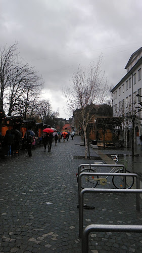 Gujžina - Slovenska kulinarika na vegetarijansko veganski način - Ljubljana