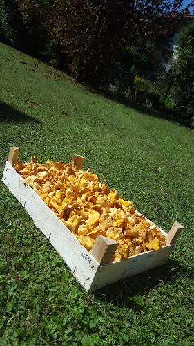 Comentarii opinii despre Gostišče Juvan - Juvan Maša s.p.