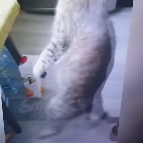 Zox, Gostinstvo, Turizem, Trgovina In Storitv Jesenice D.O.O.