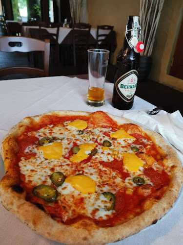 Comentarii opinii despre Gostilna in pizzeria Rogovilc