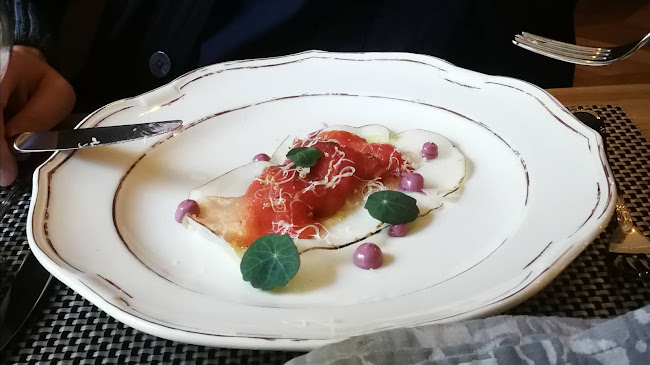 GOSTILNA VITEZ - Gastronomija in gostinstvo