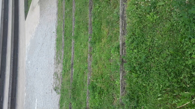 Lone Star Caffe - Kranj