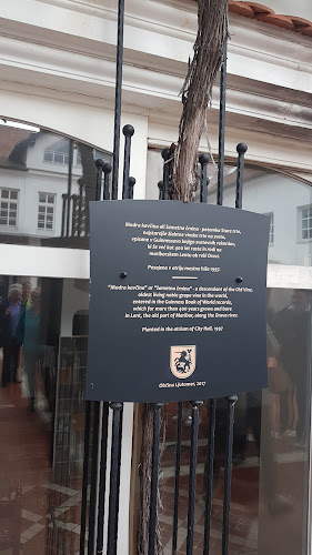 Enoteka Ljutomer, Vinopolis d.o.o.