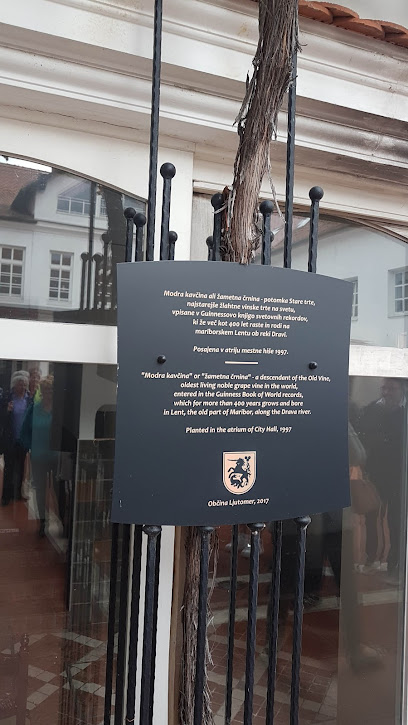 Enoteka Ljutomer, Vinopolis d.o.o.