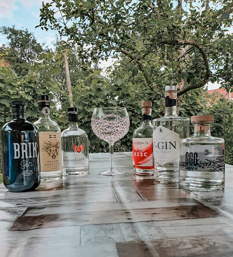 Opinii despre Spletna enoteka Mozirje SiSQSpirits în Mozirje - Gastronomija in gostinstvo