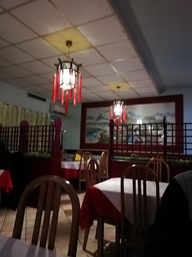 Comentarii opinii despre Zlata Srna