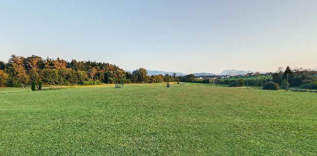 Dobrova 44, 3000 Celje