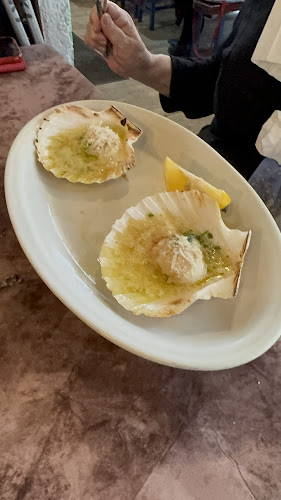 Ribja kantina Fritolin , Mirabela d.o.o.