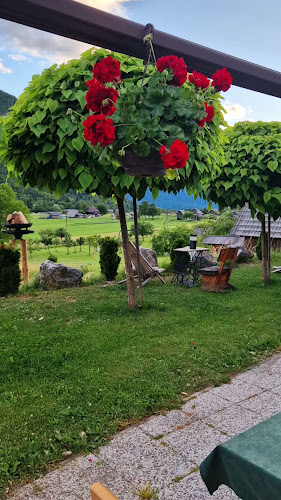 Gostilna Ema - Srednja vas v Bohinju
