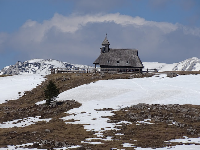 Bar Ribič Jure Bajec s.p. - Domžale