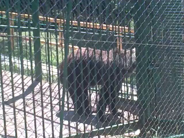 GOSTILNA LOVSKI DOM STOL - Žirovnica