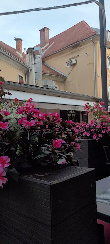 Linhartova ulica 6, 3000 Celje