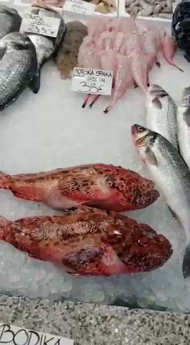 Okrepčevalnica Ribca Maestral