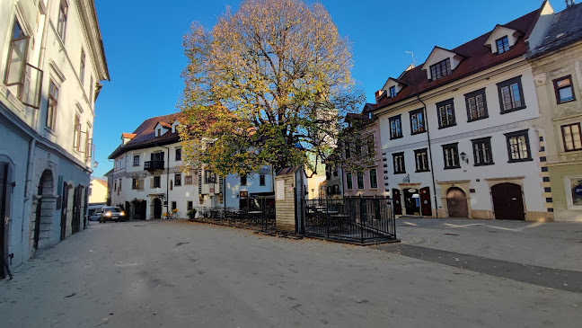 HOMANOVA HIŠA - Gastronomija in gostinstvo