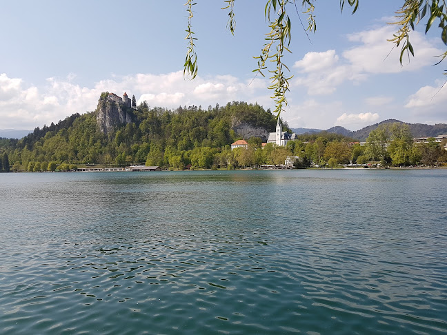 Veslaška promenada 11, 4260 Bled