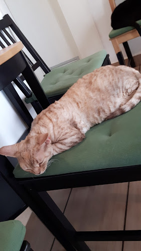 Hrenova ulica 19, 1000 Ljubljana, Slovenija