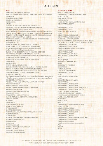 Gostilna Pension Les , Les Nasta s.p.