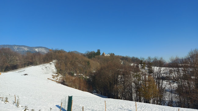 Opinii despre Bife pri Lojzu Alojz Šerbak s.p. în Rogaška Slatina - Gastronomija in gostinstvo