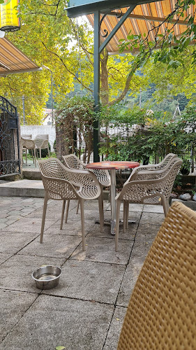 Comentarii opinii despre Sladki Toni